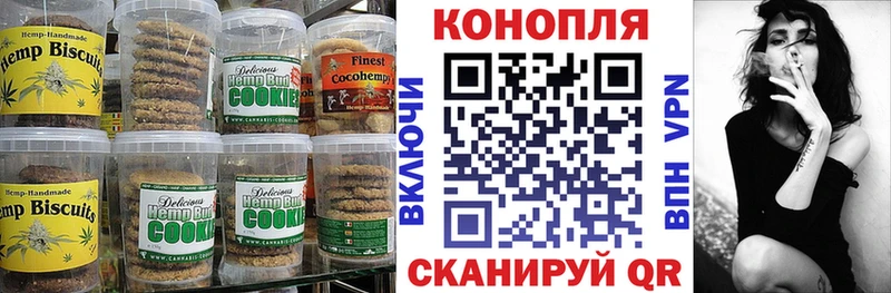 цена   Щёкино  Cannafood конопля 