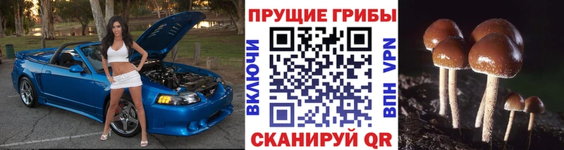 маркетплейс телеграм  Щёкино  Галлюциногенные грибы Magic Shrooms 